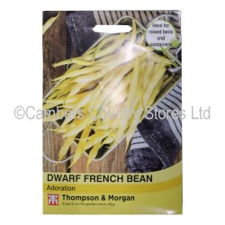 Thompson & Morgan Dwarf/French Bean Adoration